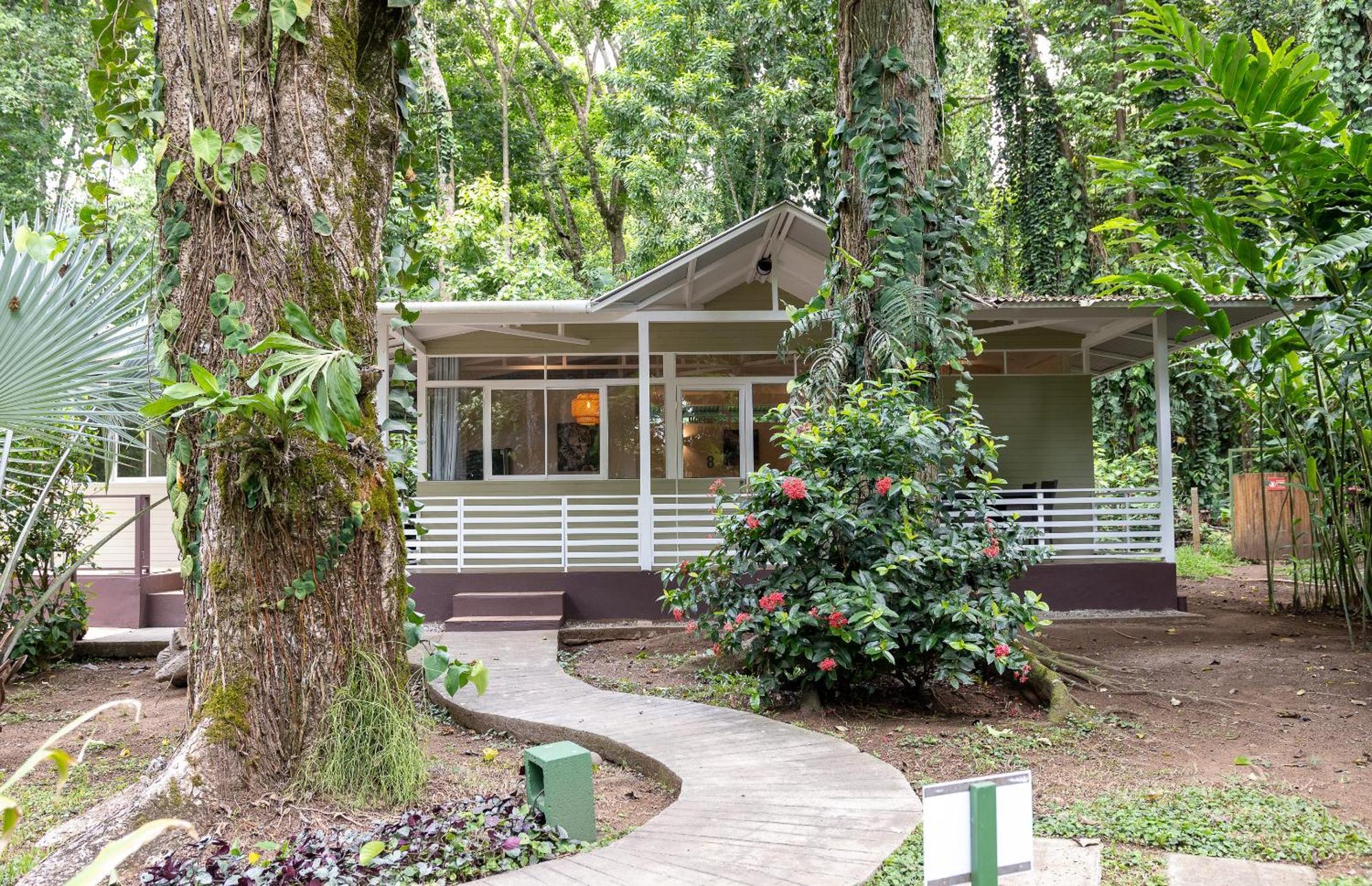 Jaguar Inn Bungalows Puerto Viejo de Talamanca Buitenkant foto