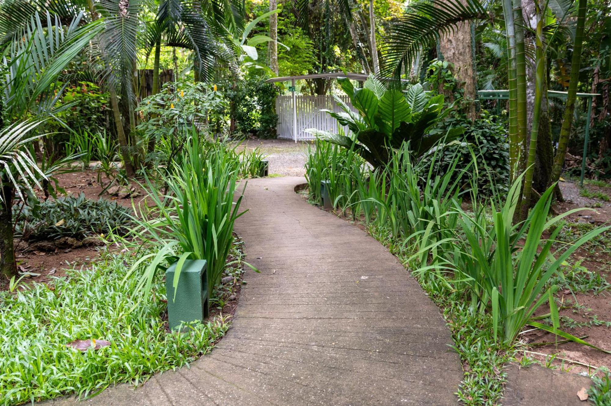 Jaguar Inn Bungalows Puerto Viejo de Talamanca Buitenkant foto