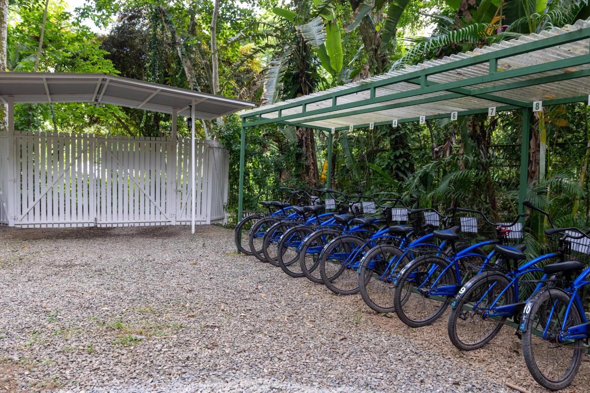 Jaguar Inn Bungalows Puerto Viejo de Talamanca Buitenkant foto