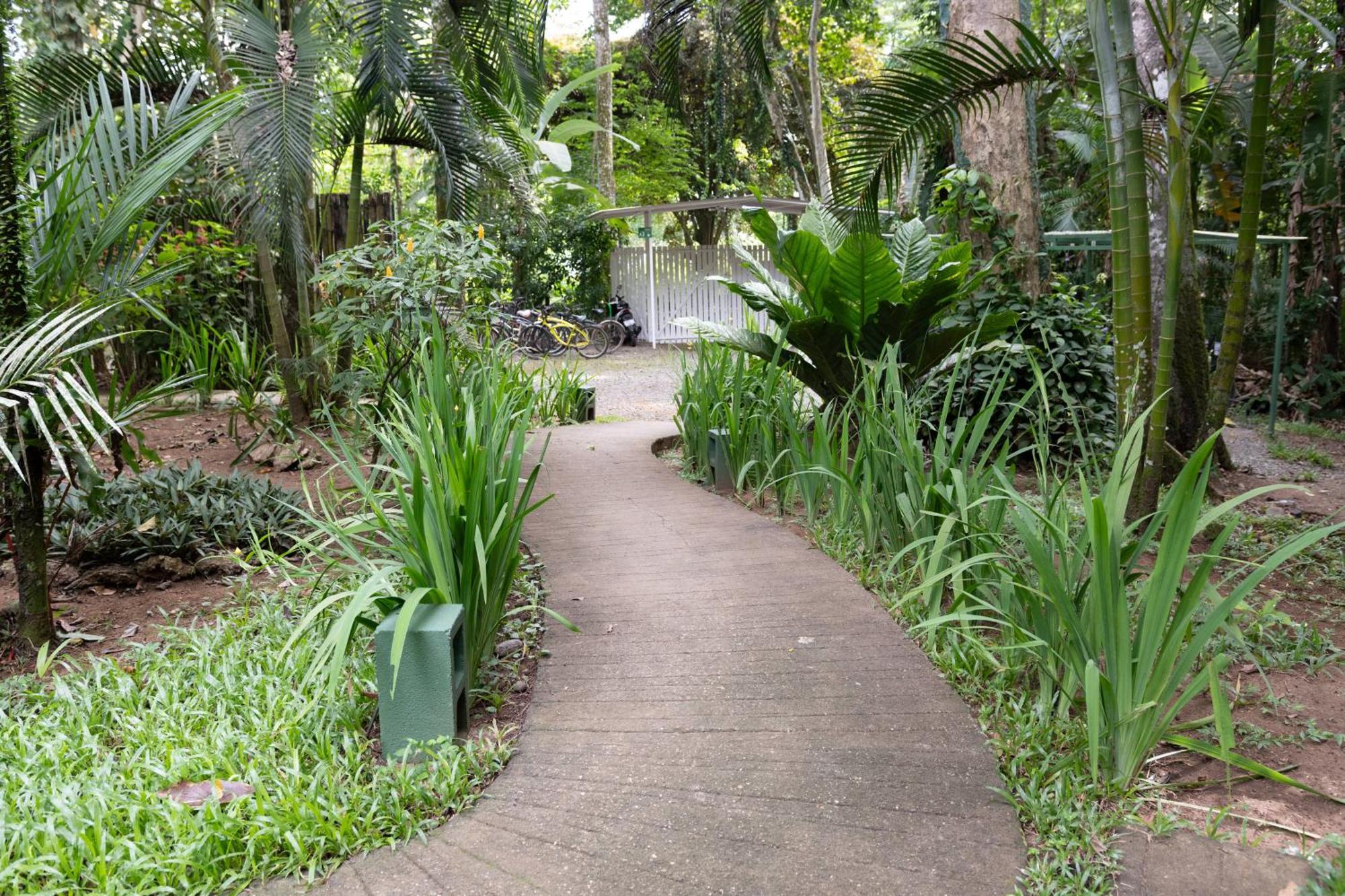 Jaguar Inn Bungalows Puerto Viejo de Talamanca Buitenkant foto