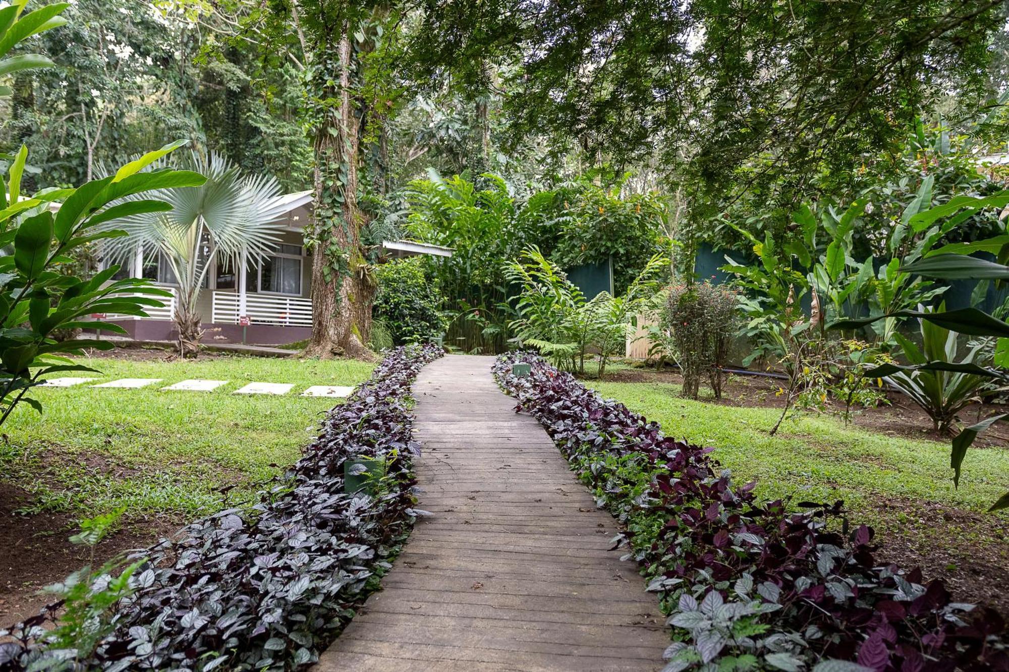 Jaguar Inn Bungalows Puerto Viejo de Talamanca Buitenkant foto
