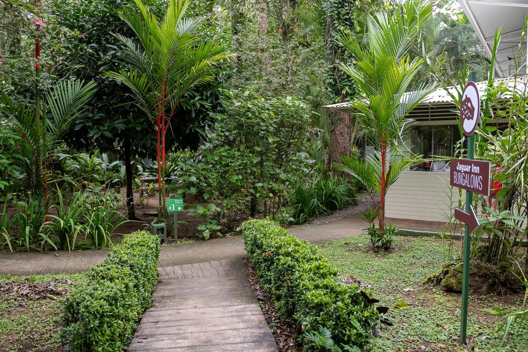 Jaguar Inn Bungalows Puerto Viejo de Talamanca Buitenkant foto