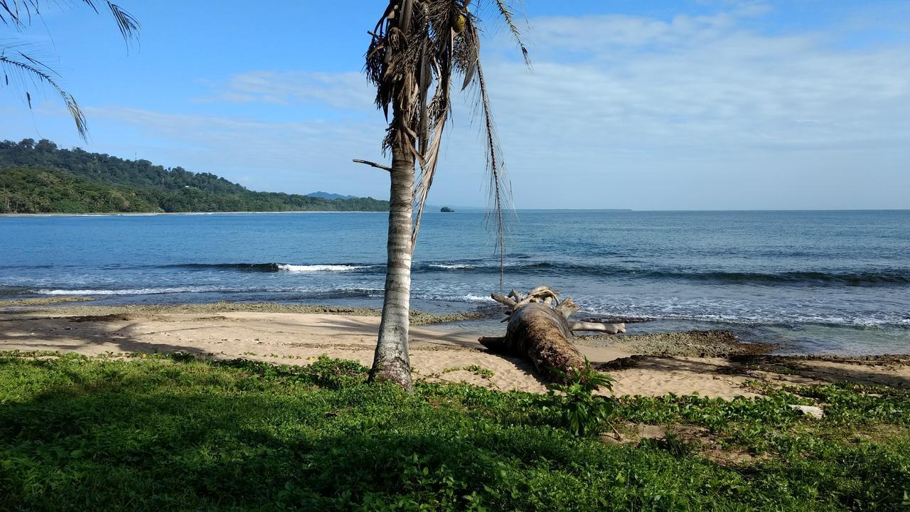 Jaguar Inn Bungalows Puerto Viejo de Talamanca Buitenkant foto